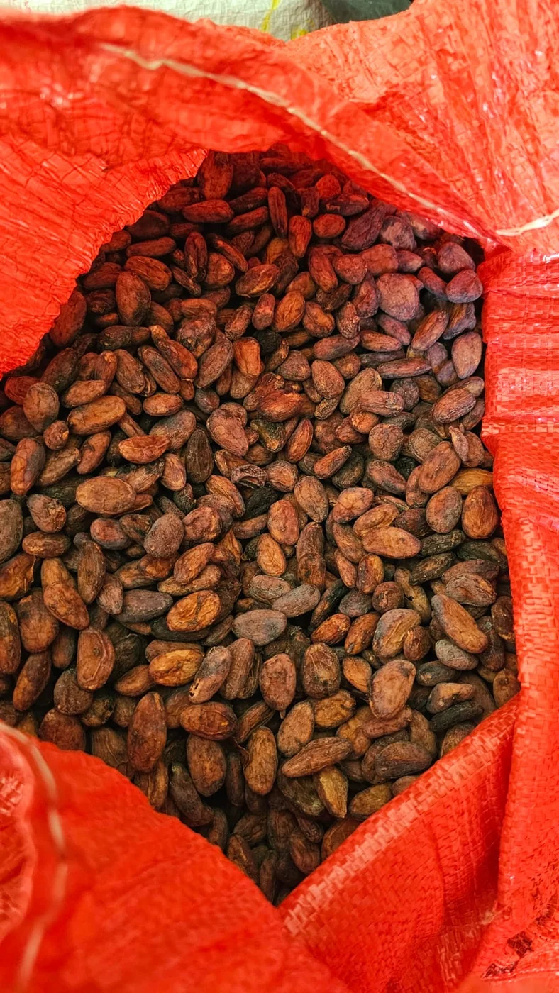 Cacao · Quintal (100 lbs)