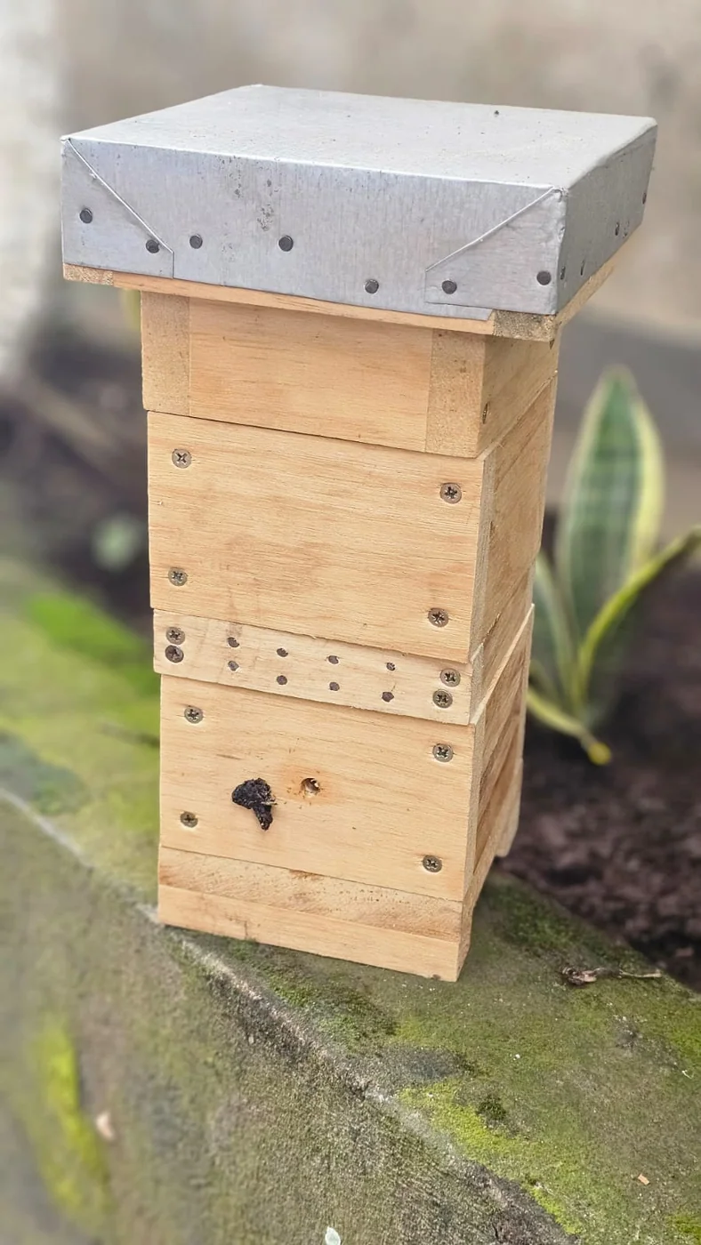 Caja para Abeja Melipona · Unidad